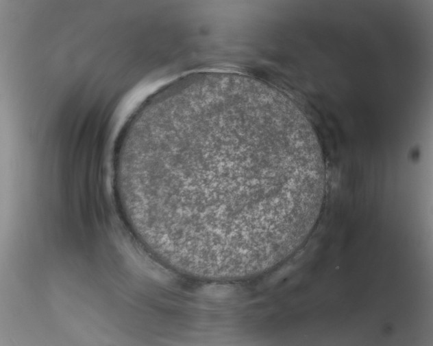 X0000115210294200911251514