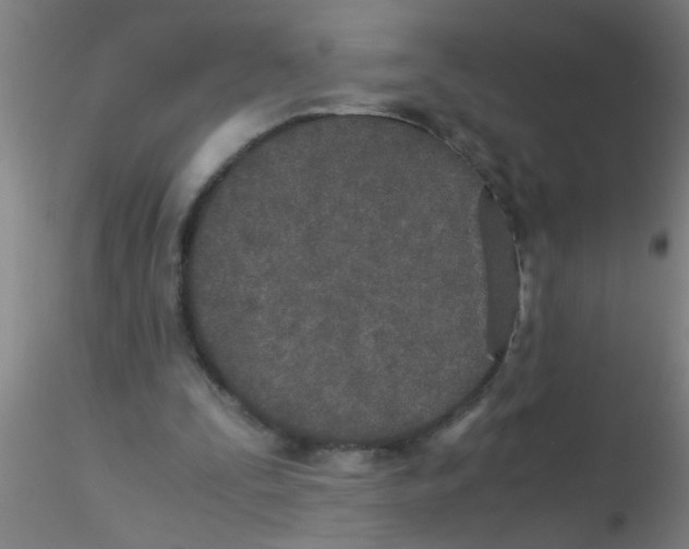 X0000115210295200911251514