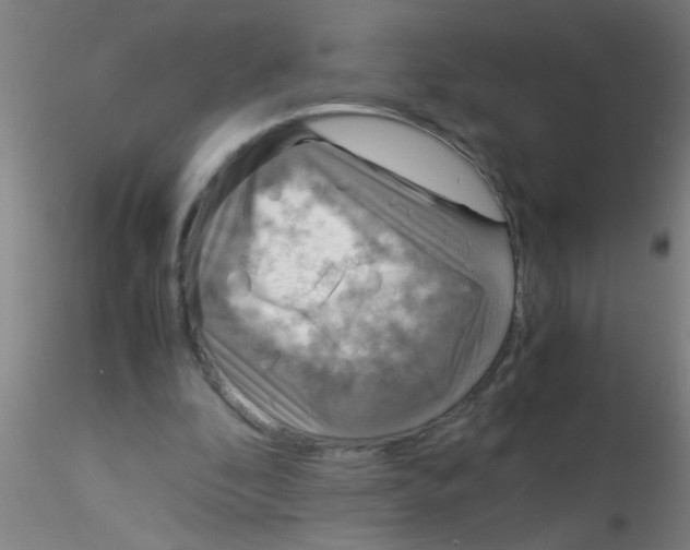 X0000115210296200911251514