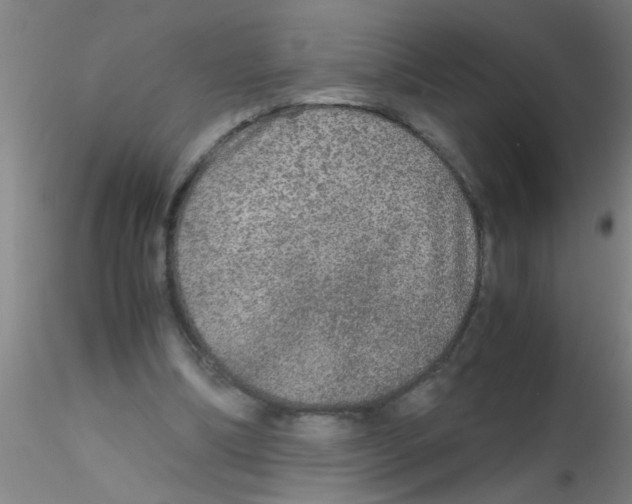 X0000115210298200911251514