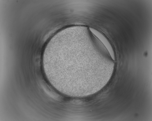 X0000115210299200911251514