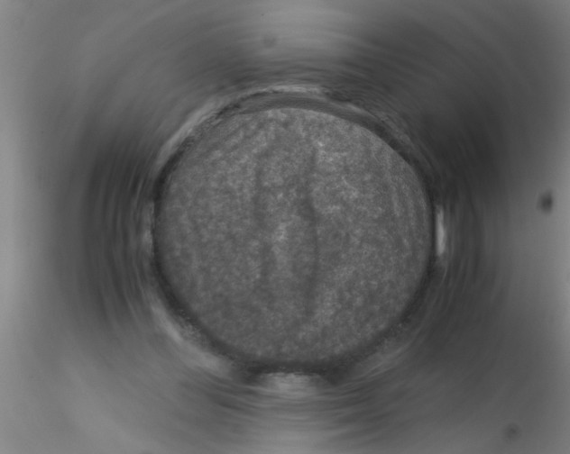 X0000115210300200911251514