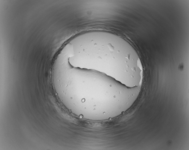 X0000115210301200911251514