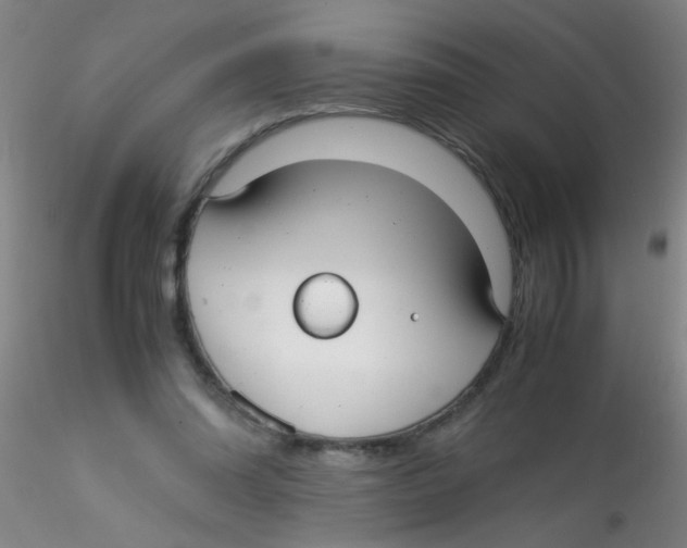 X0000115210302200911251514