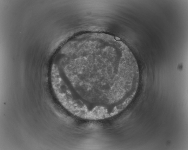 X0000115210303200911251514