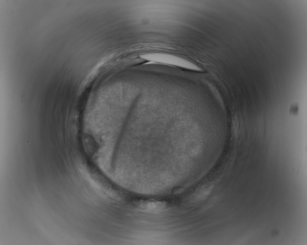 X0000115210304200911251514