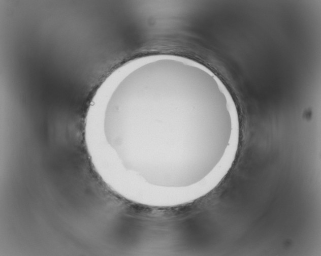 X0000115210305200911251514