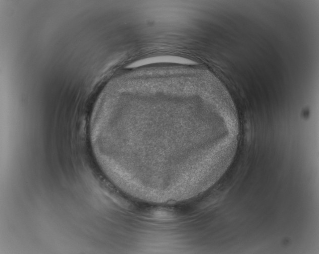 X0000115210308200911251514