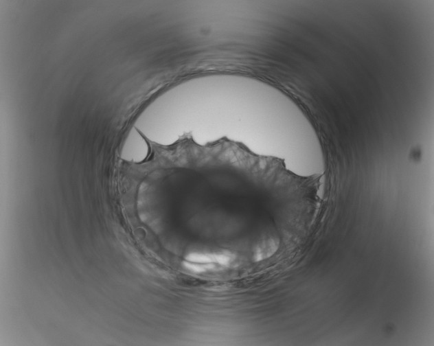 X0000115210309200911251514