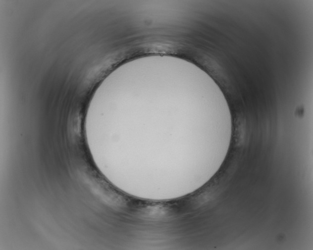 X0000115210310200911251514