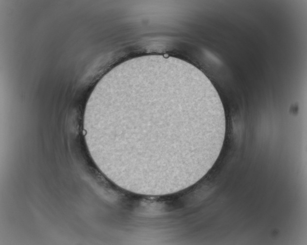 X0000115210311200911251514