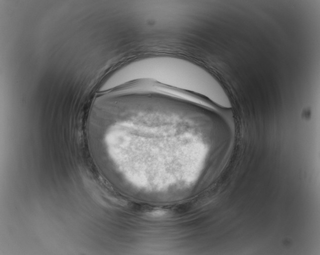 X0000115210312200911251514