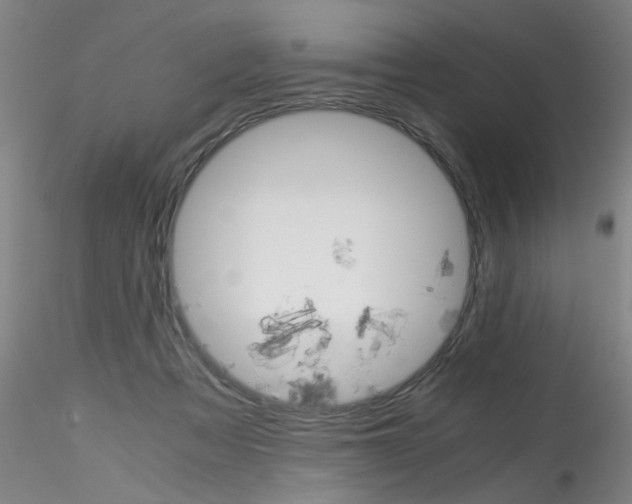 X0000115210313200911251514