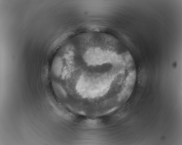 X0000115210314200911251514