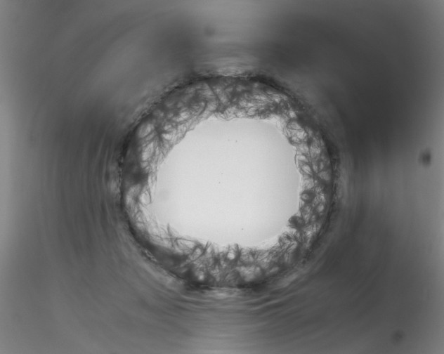 X0000115210317200911251514