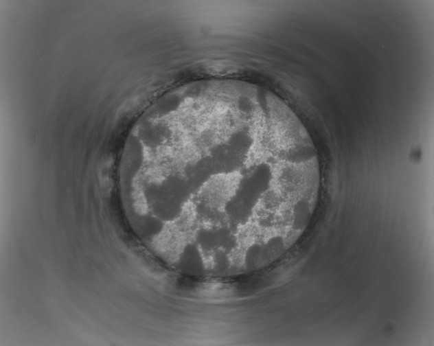 X0000115210319200911251514