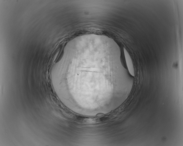 X0000115210320200911251514