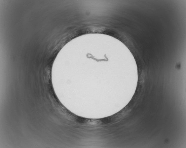 X0000115210321200911251514