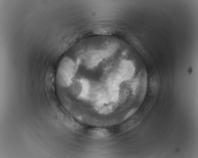 X0000115210322200911251514