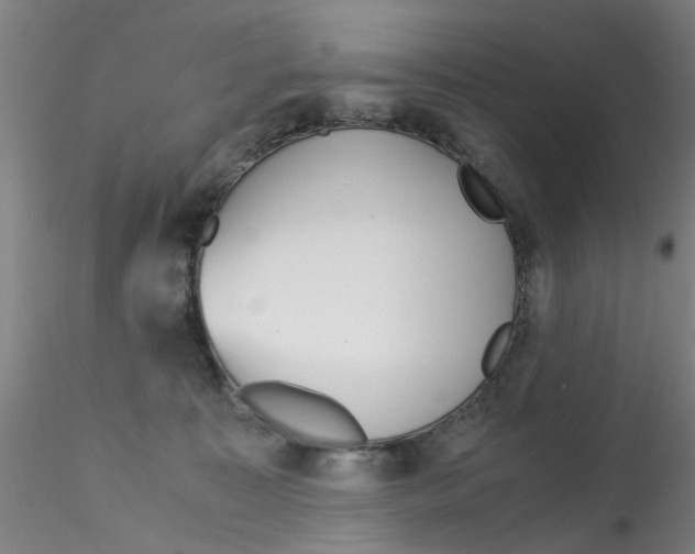 X0000115210323200911251514