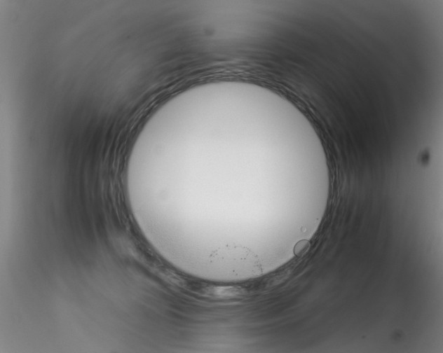 X0000115210324200911251514