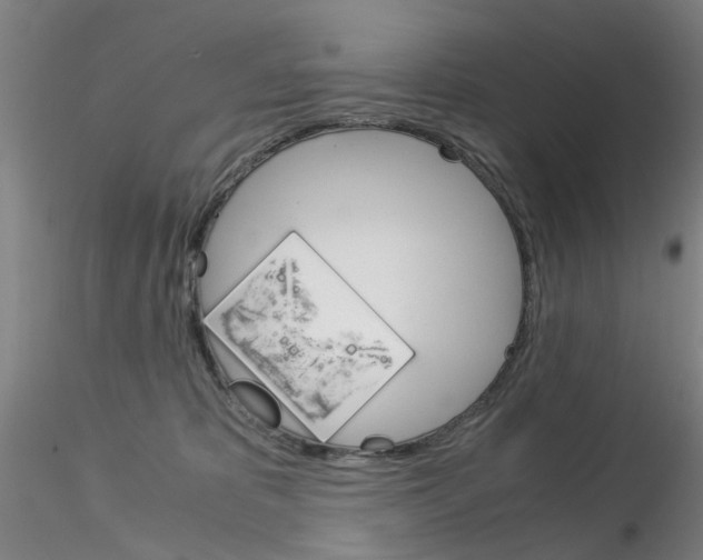 X0000115210325200911251514