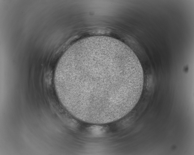 X0000115210326200911251514