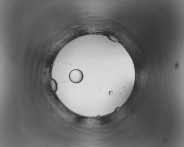 X0000115210327200911251513