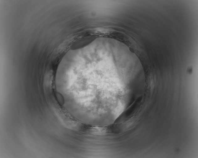 X0000115210328200911251513