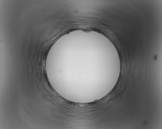 X0000115210329200911251513