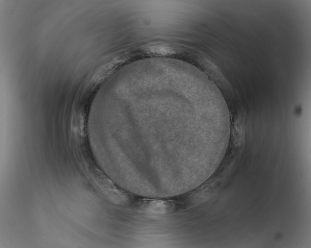 X0000115210330200911251513