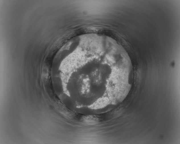 X0000115210331200911251513