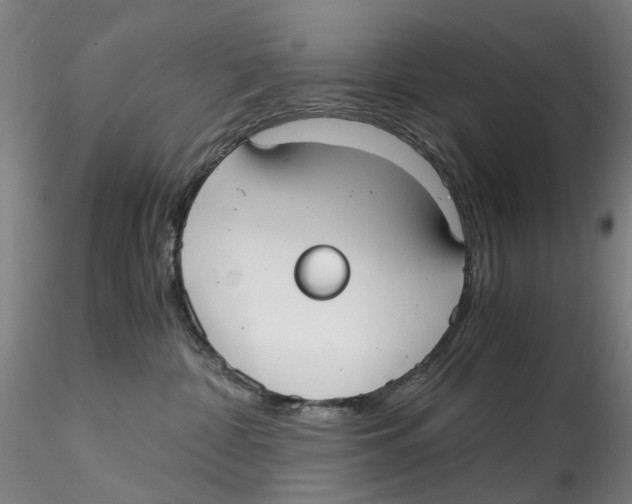 X0000115210332200911251513