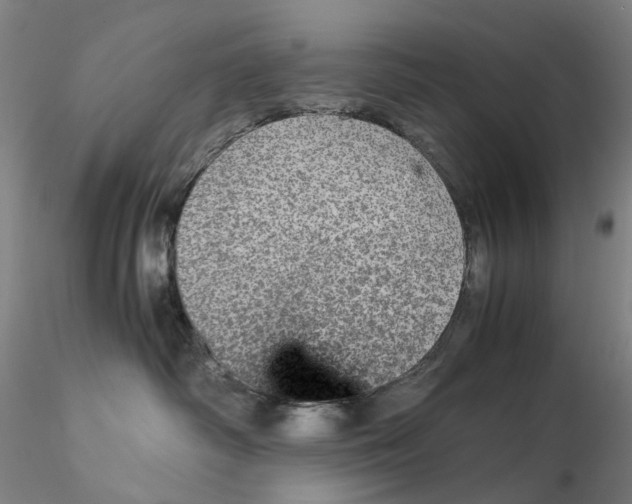 X0000115210334200911251513