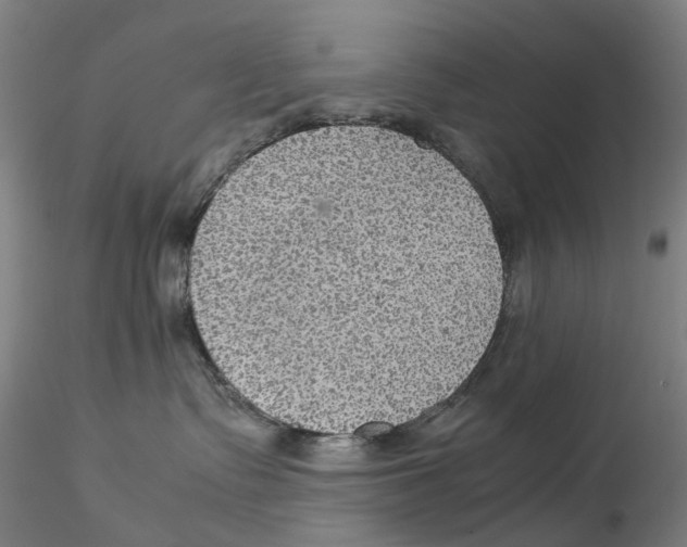 X0000115210335200911251513