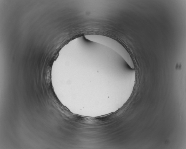 X0000115210336200911251513