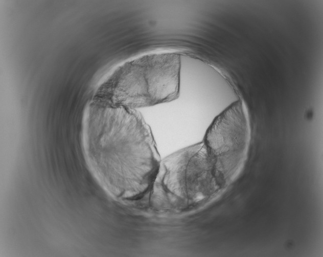 X0000115210337200911251513