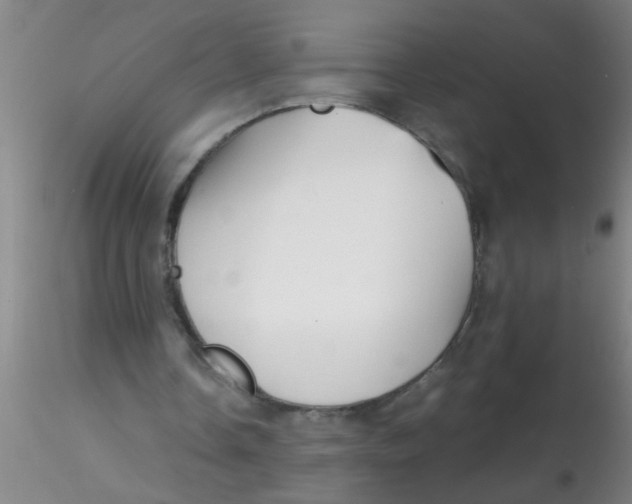 X0000115210338200911251513