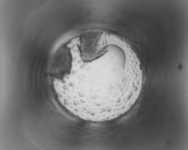 X0000115210341200911251513