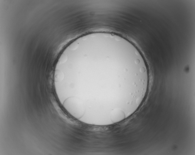 X0000115210345200911251513