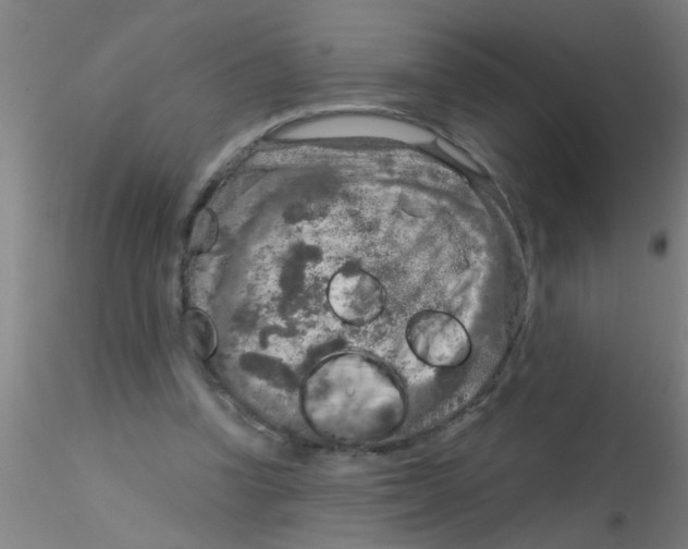 X0000115210346200911251513