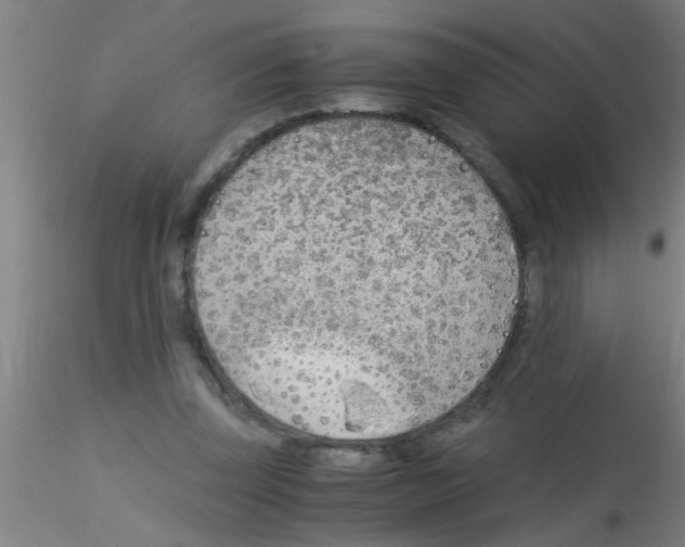 X0000115210347200911251513