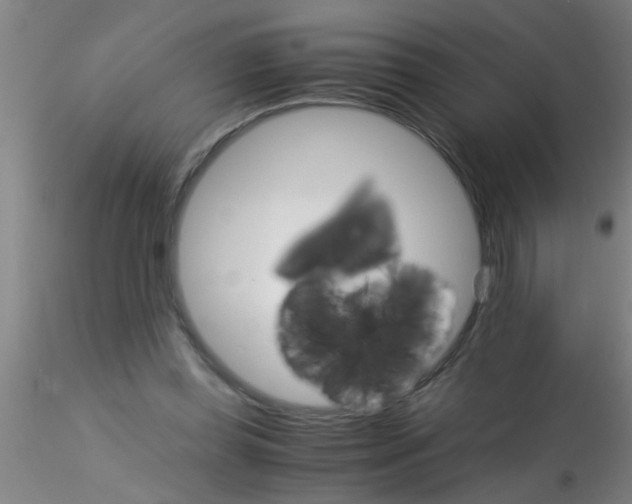 X0000115210349200911251513