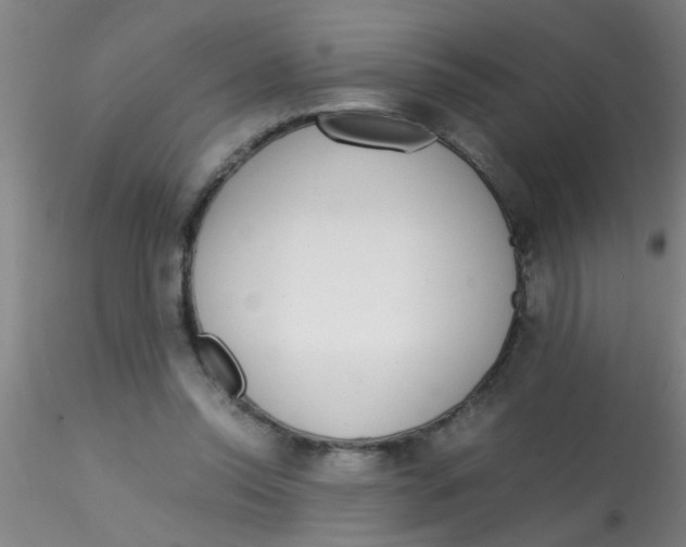 X0000115210350200911251513