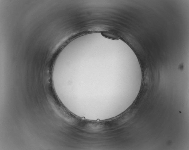 X0000115210351200911251513