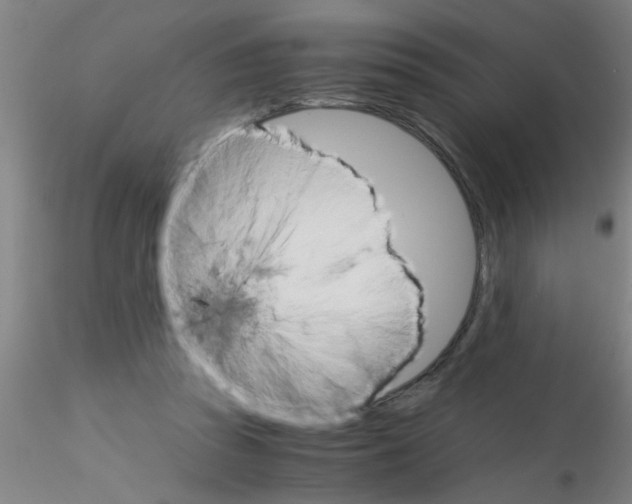 X0000115210353200911251513