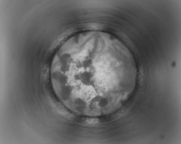 X0000115210355200911251513