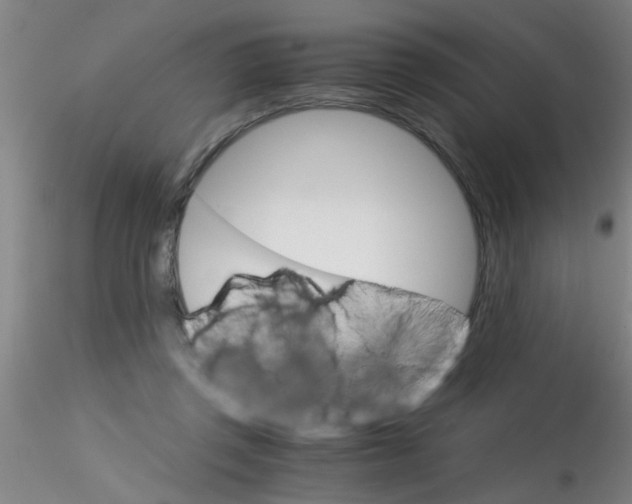 X0000115210357200911251513