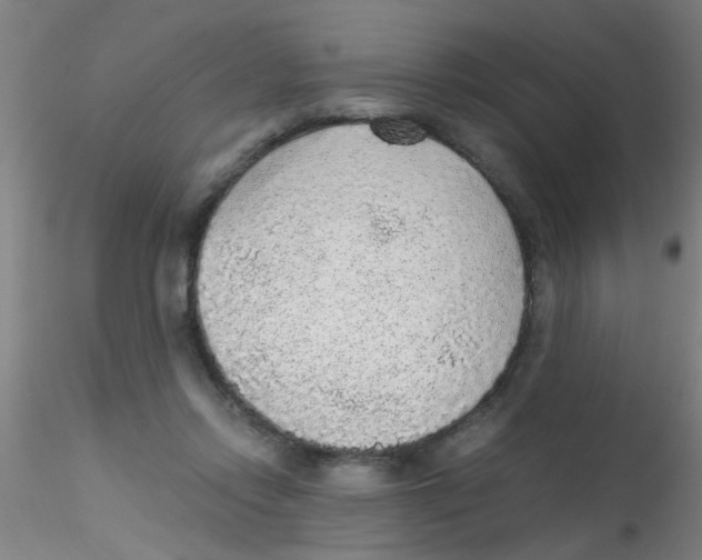 X0000115210358200911251513