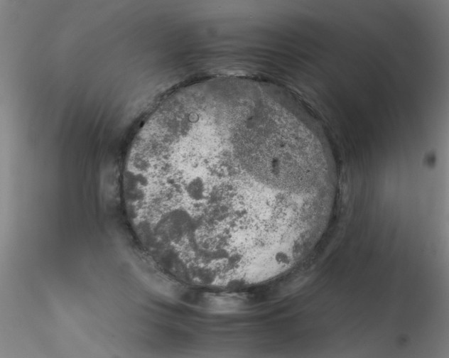 X0000115210359200911251513